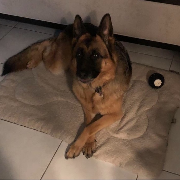 CHARITY: PLEASE Help sponsor OUR BABY girl which found out has Epilepsy! Please - Picture 6 of 7